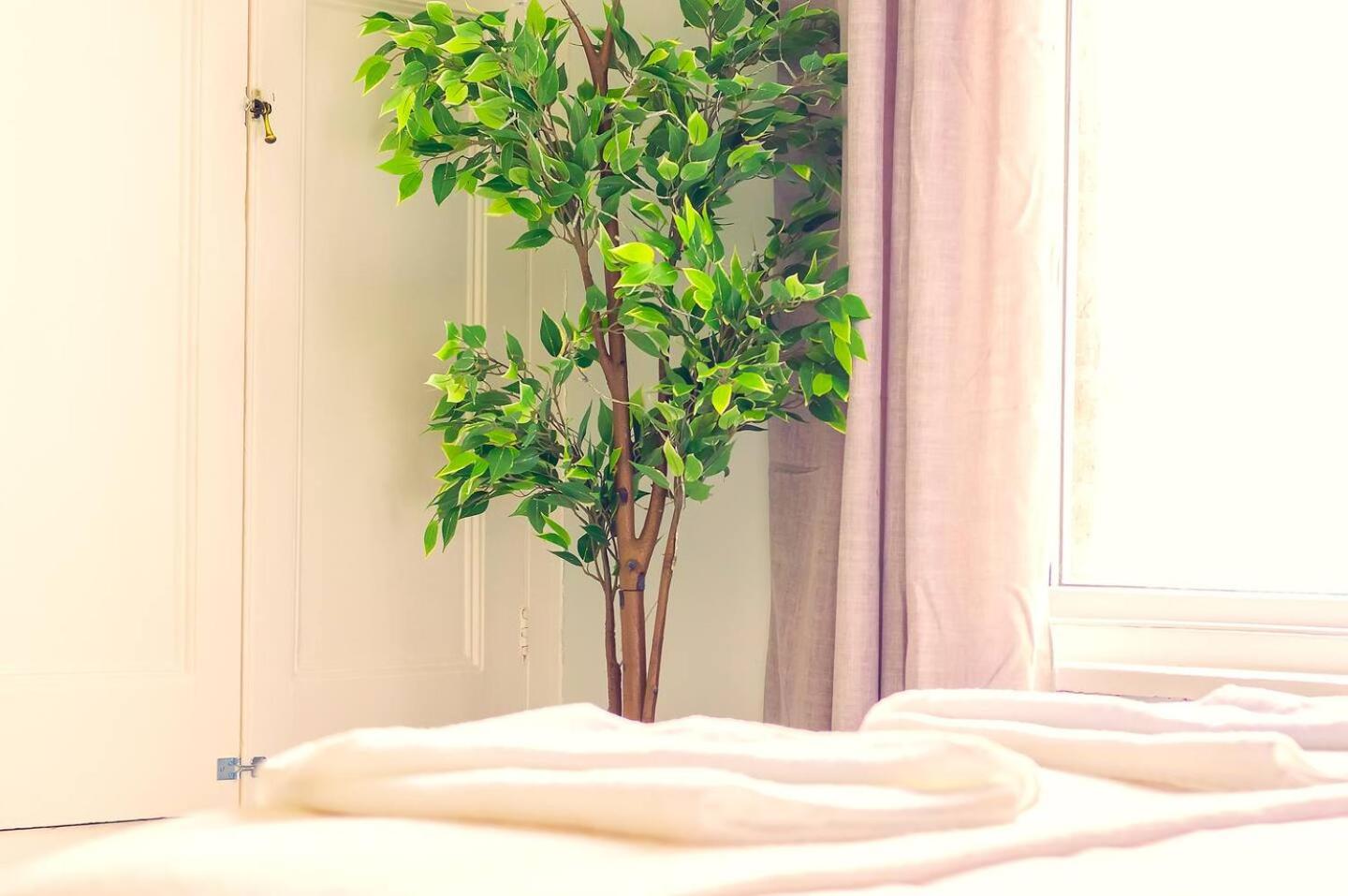 Air Maison - Shore Stay