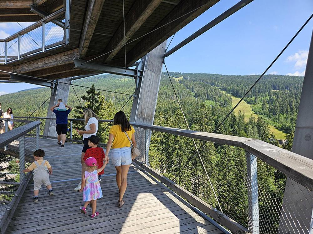 Lyžařské ubytování Horní Maršov - by Alka, 1x free parking