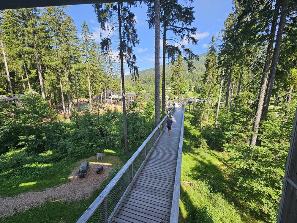 Lyžařské ubytování Horní Maršov - by Alka, 1x free parking