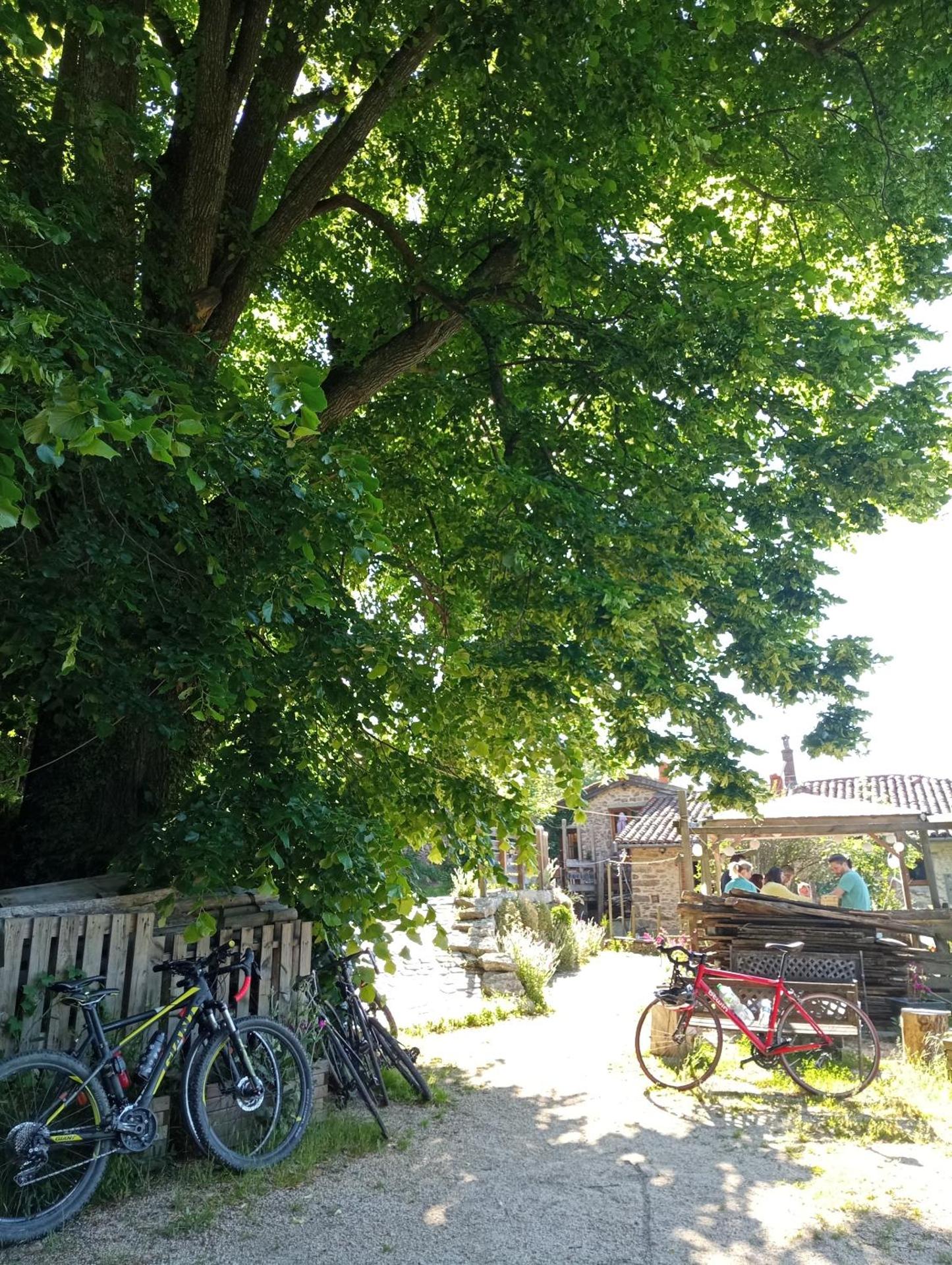 Children play ground