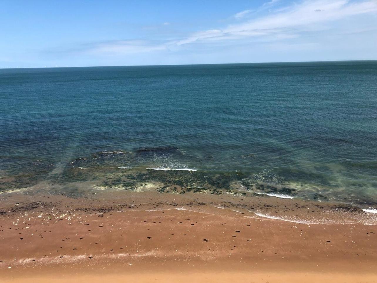 Sassy Seaview Apt, Parking, No Guest Fees Nr Beach