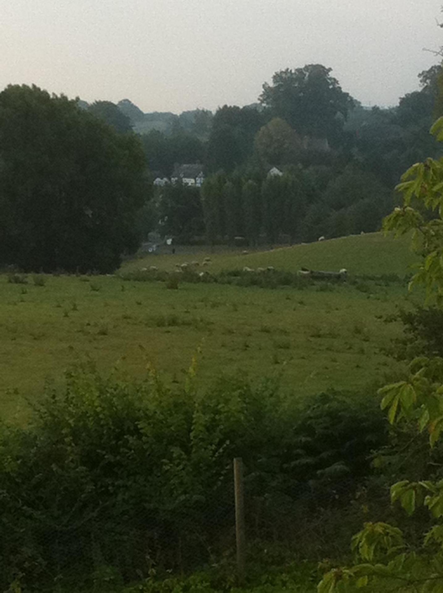 View (from property/room)