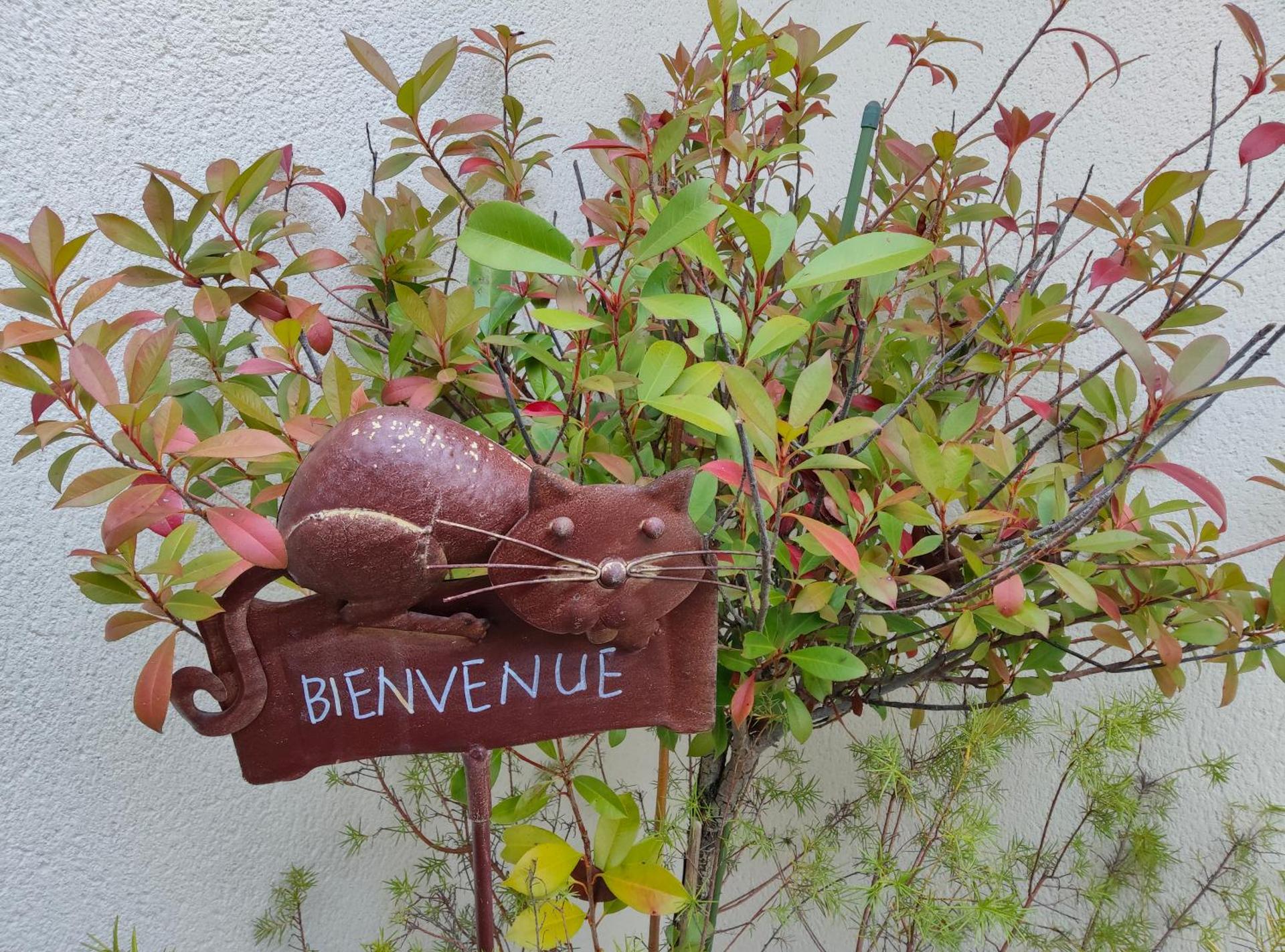 Du Côté de Chez Paule, chambre avec entrée indépendante et salle d'eau privative