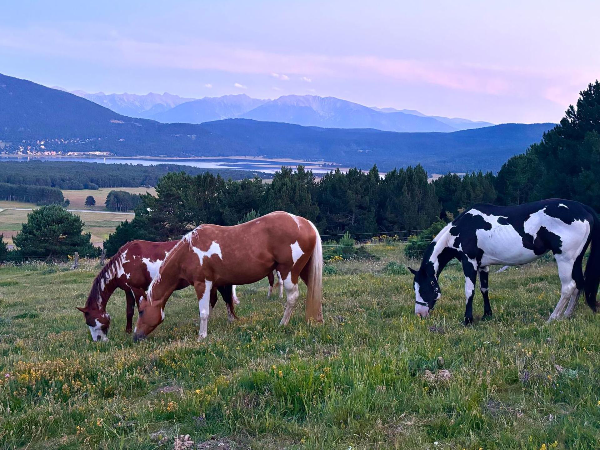 Gîte Ranch Le Serpolet