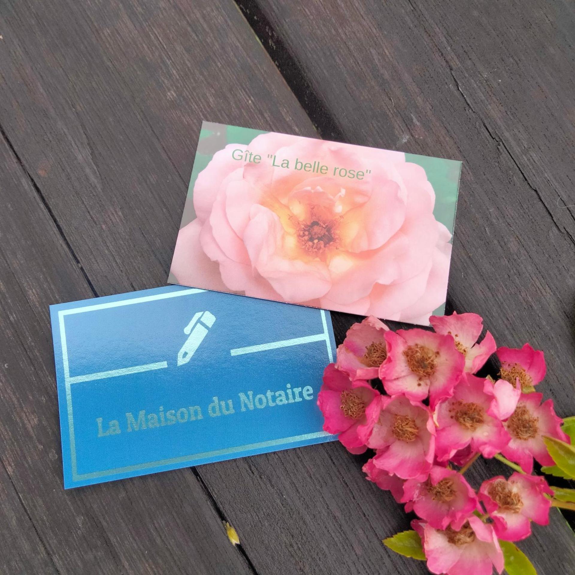 La Maison du Notaire - Chambre d'Hôtes - Huisdieren welkom