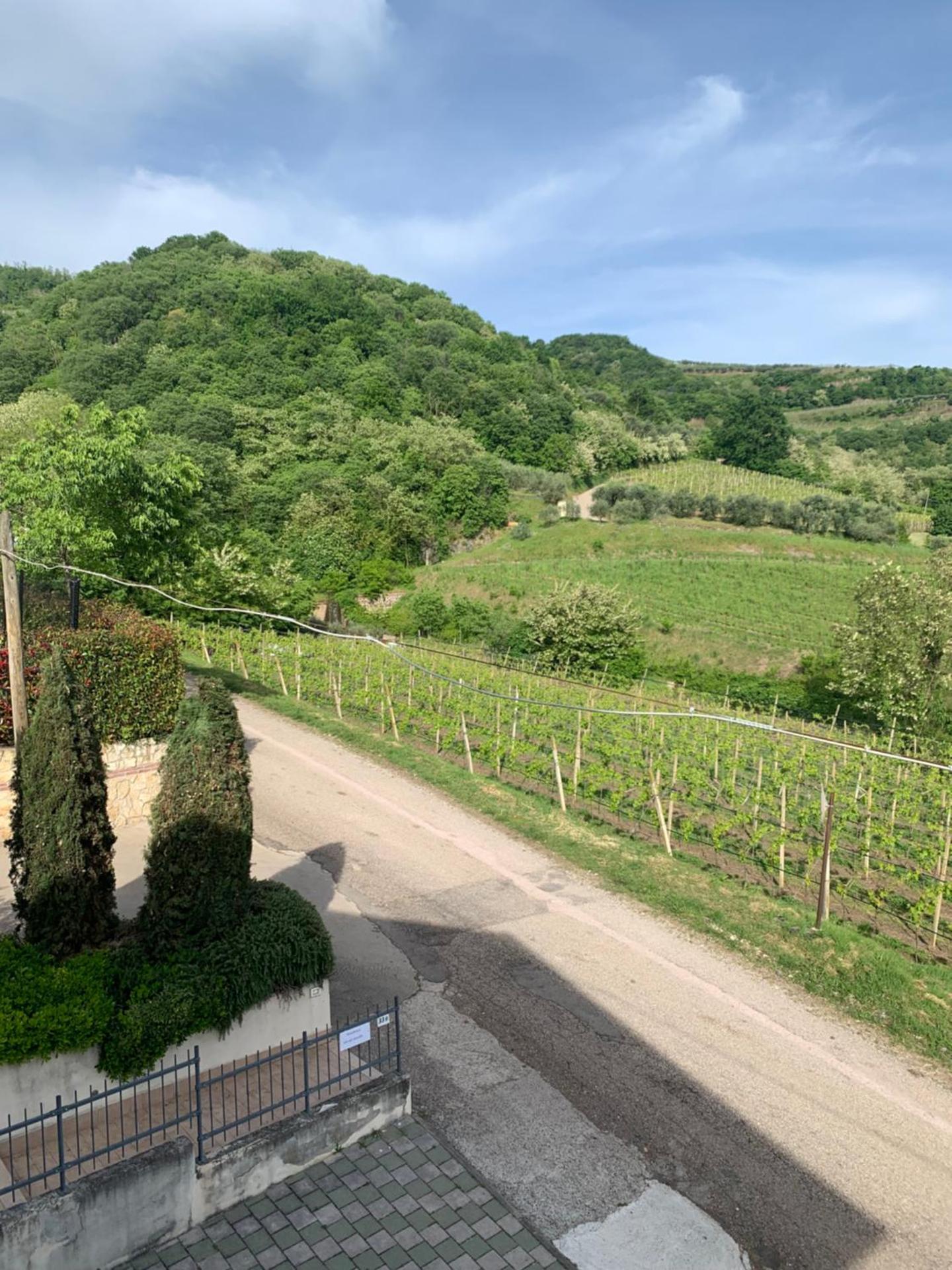 Residenza Viti del Durello Locazione turistica