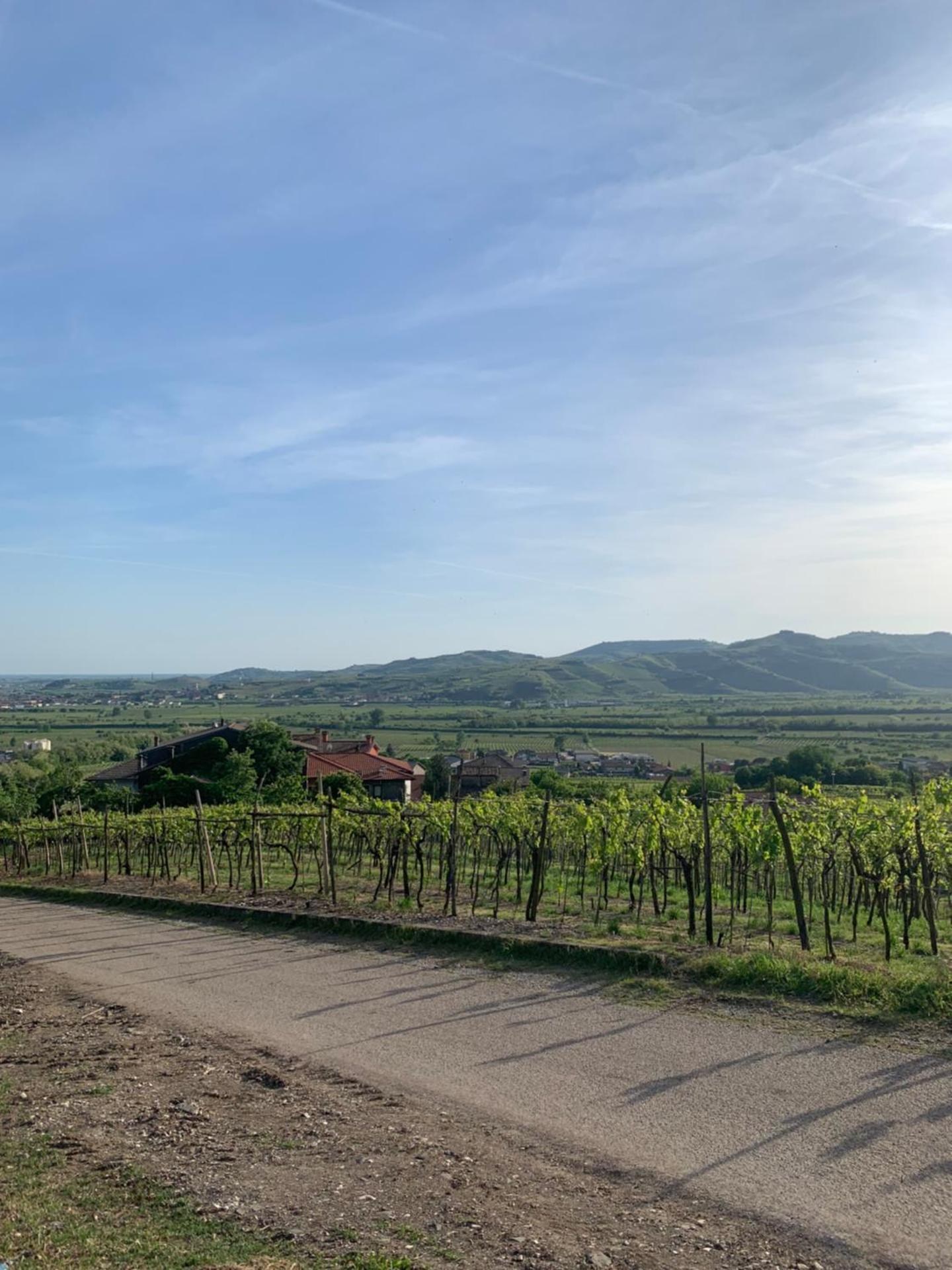 Residenza Viti del Durello Locazione turistica