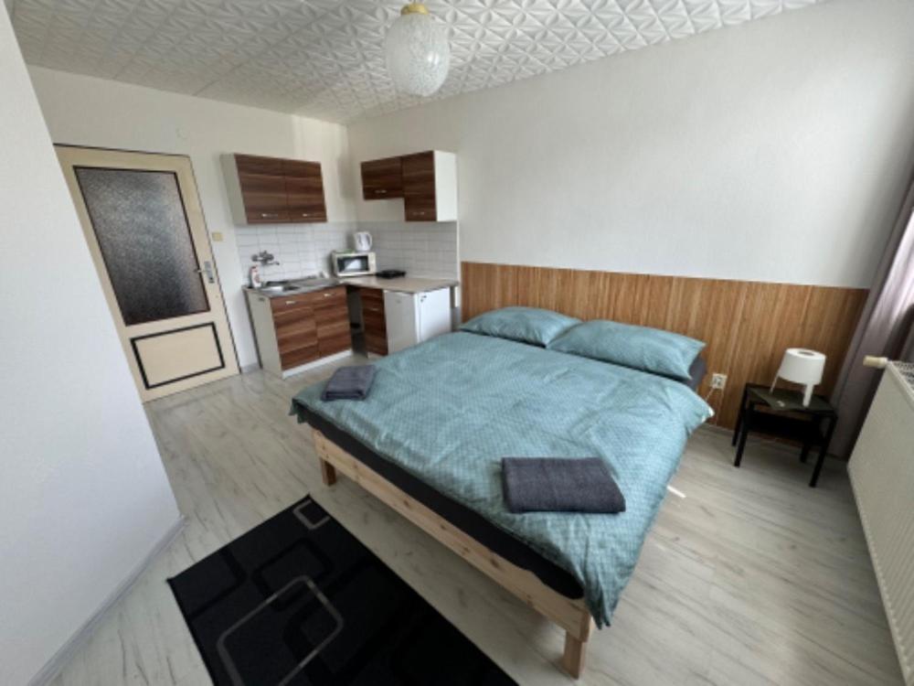 Penzion a Rybářská bašta U Jesetera