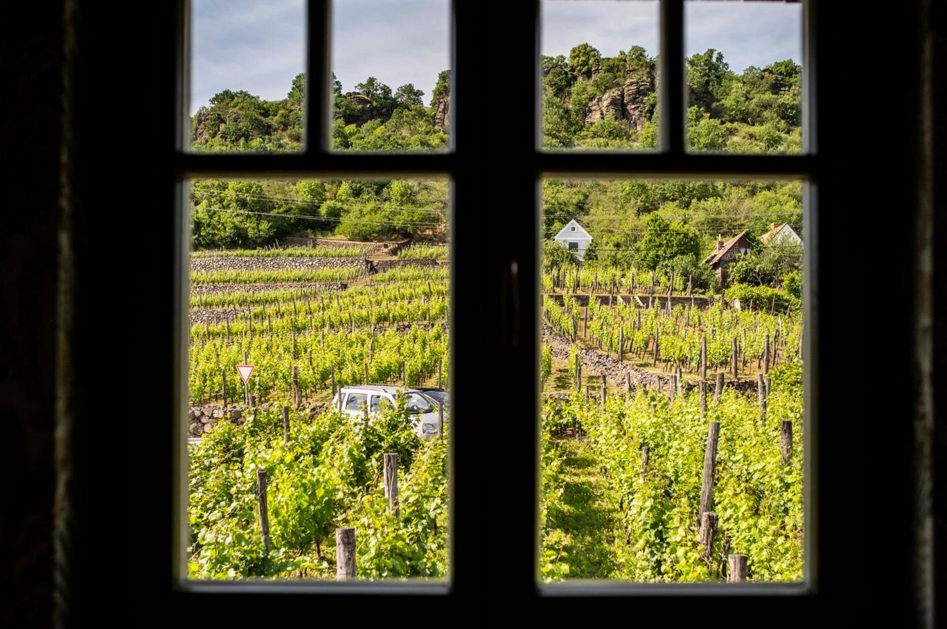 NemCsuri Vendegház Somló