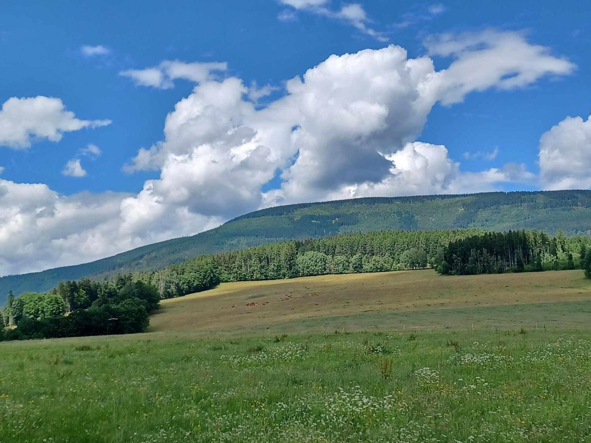 Apartment Modern Mountain Terrace Retreat & Pets by Interhome
