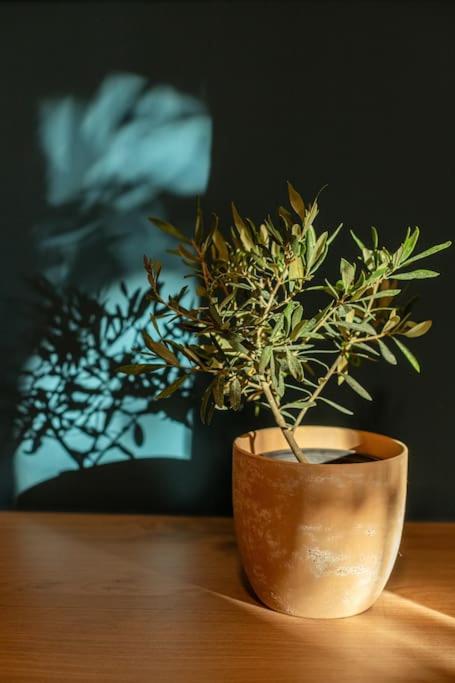 The Meta Stay -Rooftop Access Sunny 2bdr Apartment