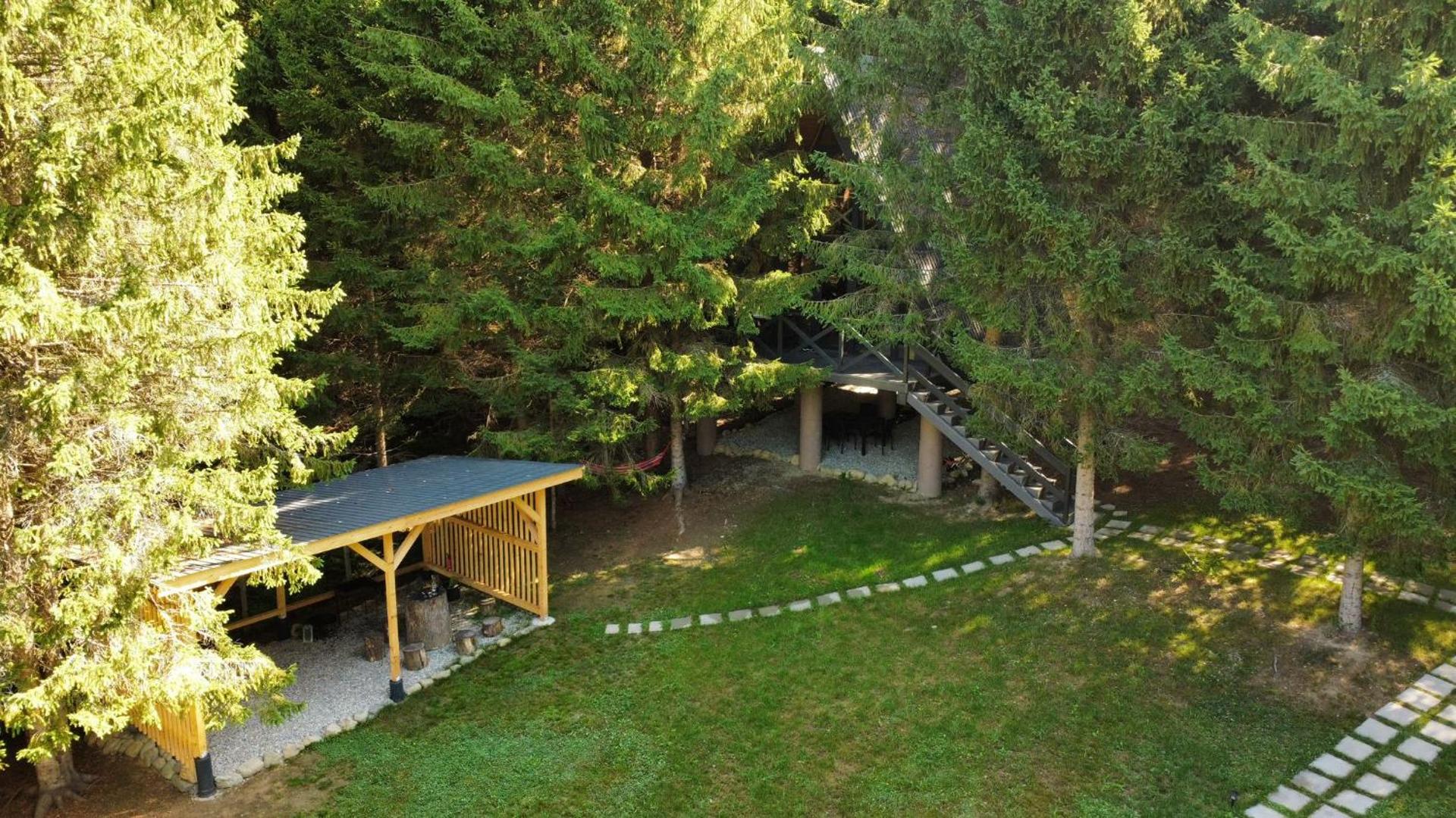 A frame Cuib de Vultur