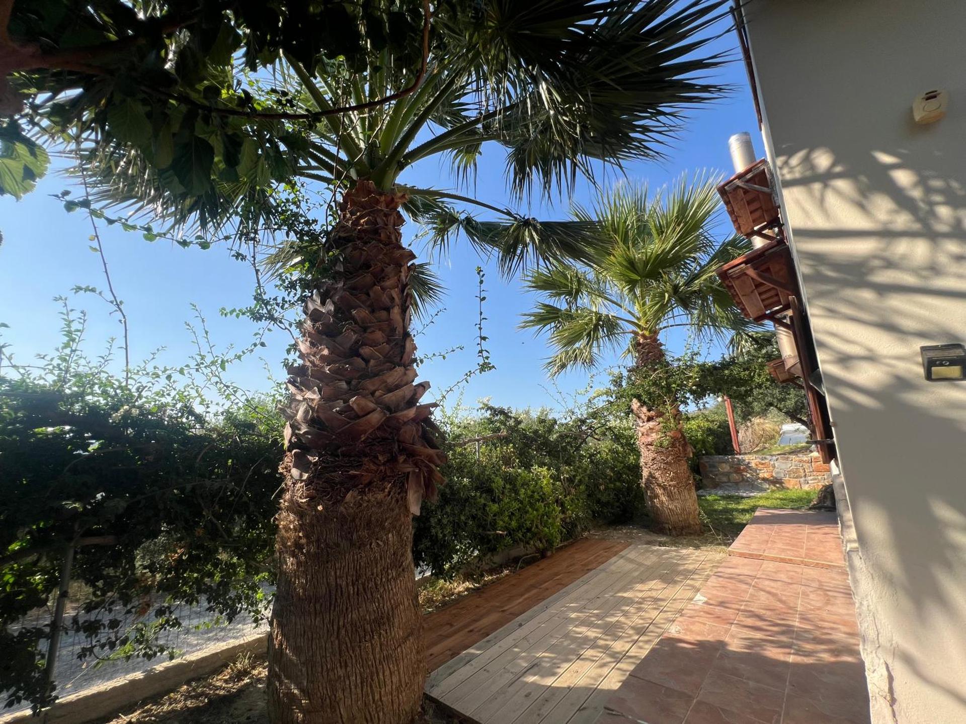 Country house in nature