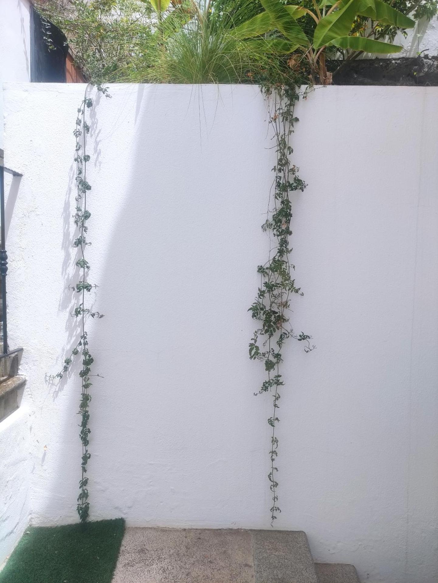 Apartamento * Estudio Orobanca