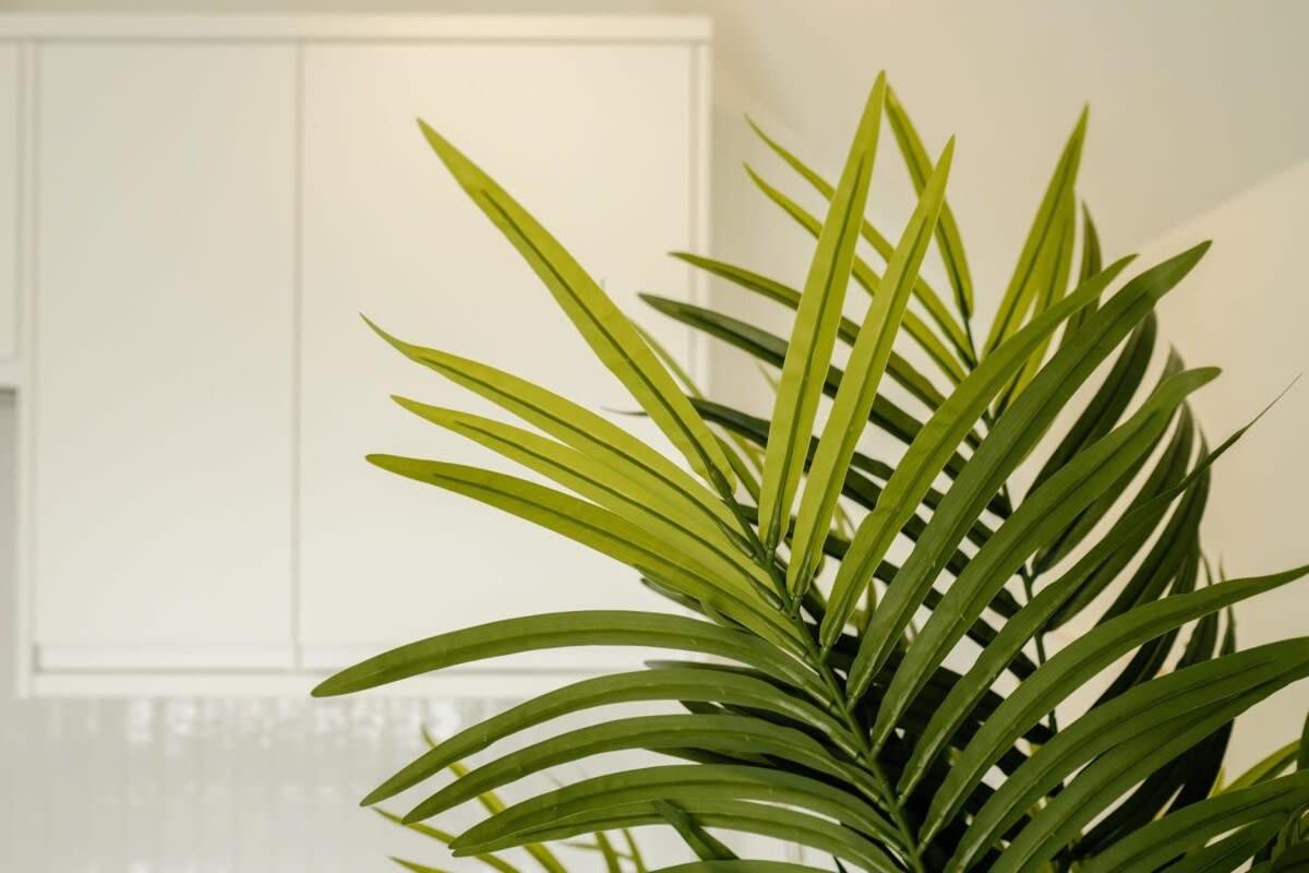 Grange Rd Flat 5 one bedroom