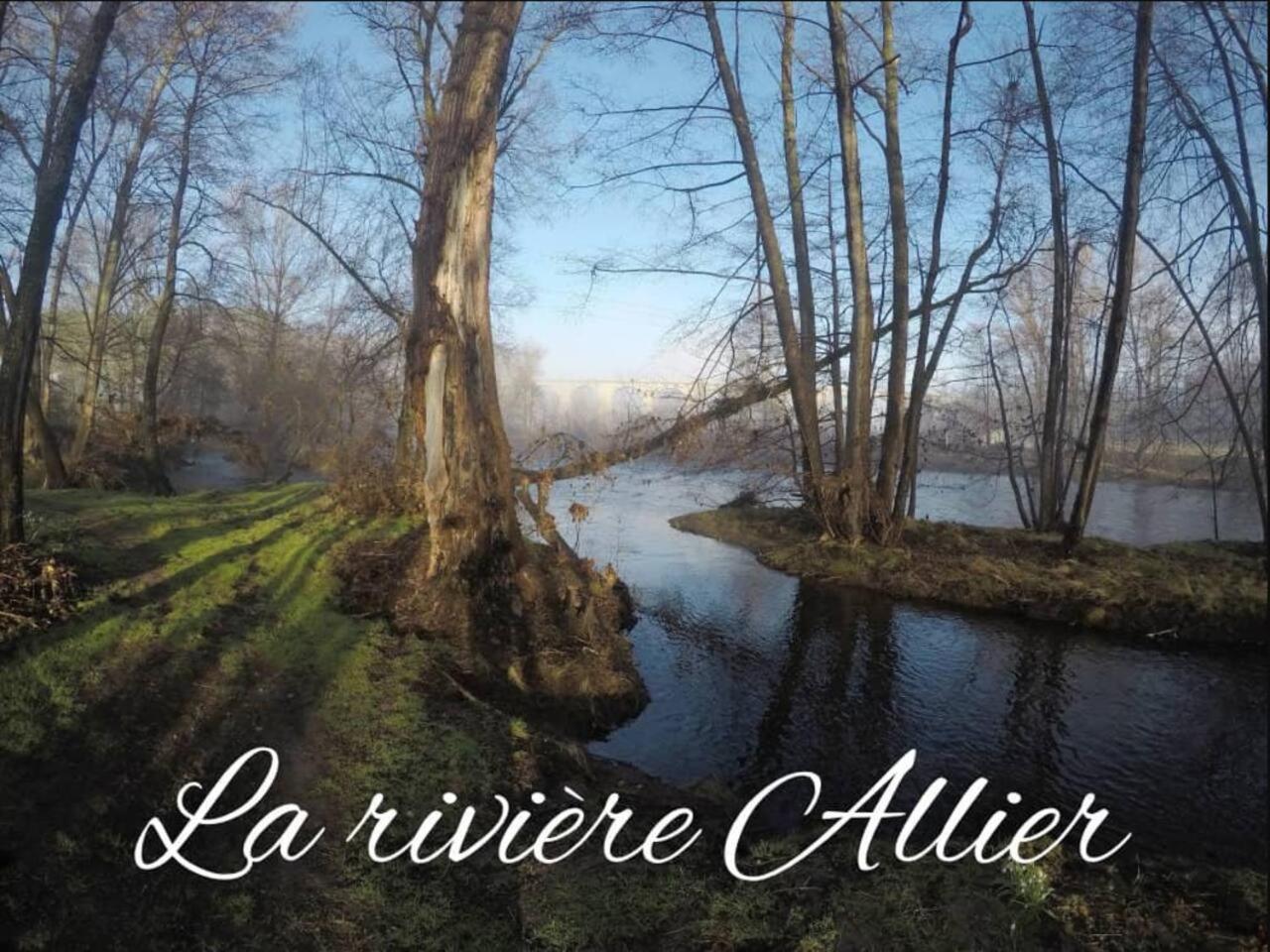 Le 19 - Suite 19 - 50m2 - Centre Historique - Clim