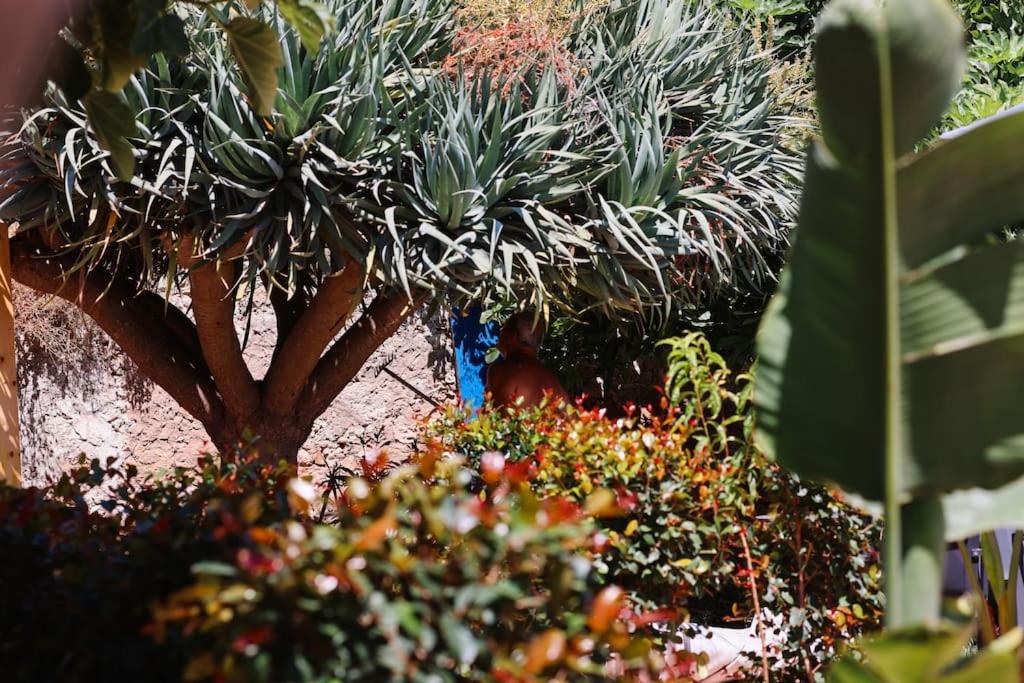 Old Fisherman's Corner 12 - Centro Old Town Albufeira