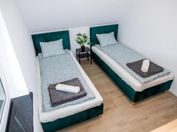 Green House Exclusive