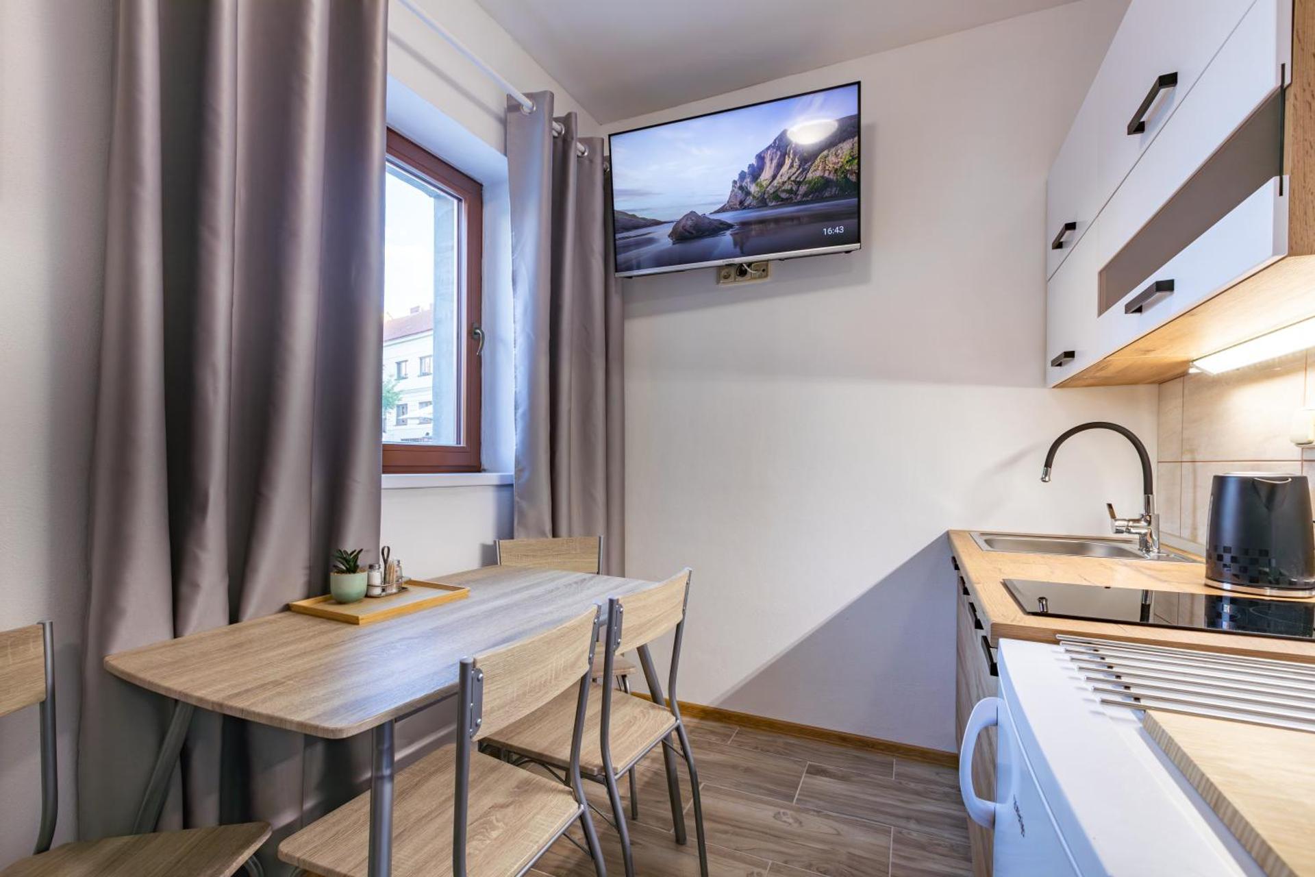 Deluxe One-Bedroom Apartment