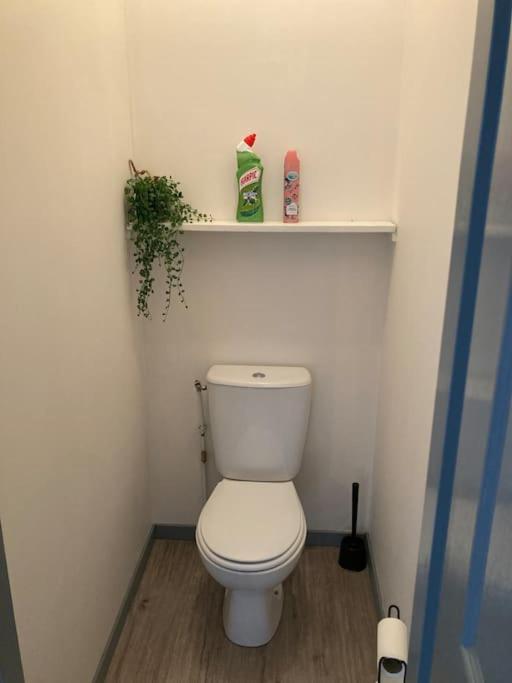 Joli petit appartement