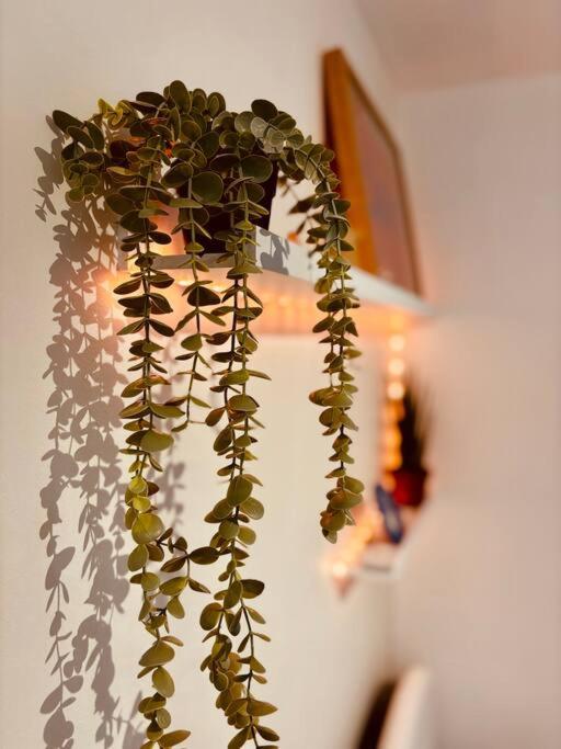 Mini - Tout petit mais cozy !