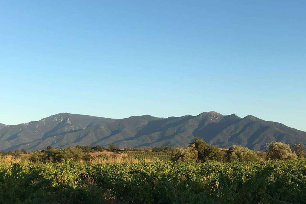 La maison des vendangeurs
