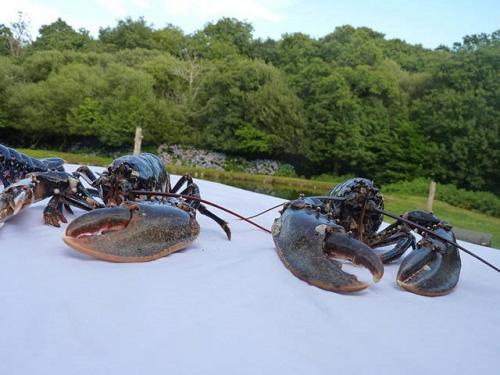 La suite du paysan terrasse privative avec salon de jardin et bain de soleil cuisine privé bain à remous privatif plage de sable fin à 7 mn