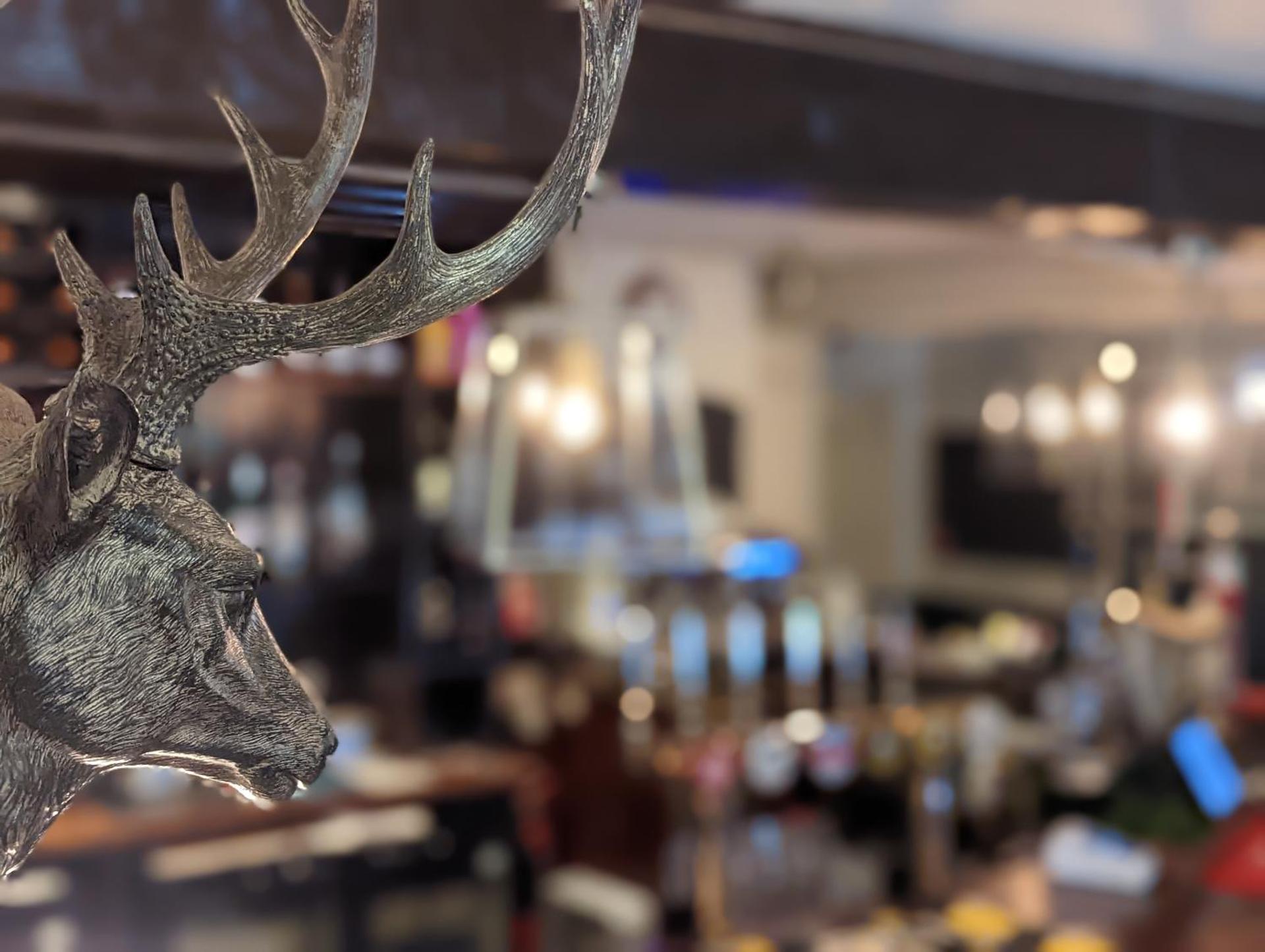 Lounge or bar