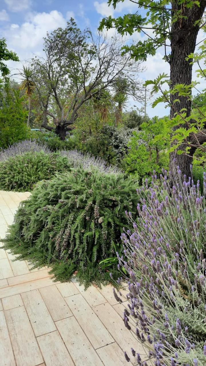 Villa Aurelia - guesthouse Le Case di Aurelia