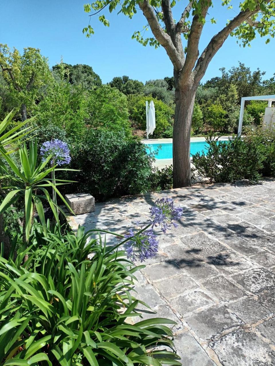 Villa Aurelia - guesthouse Le Case di Aurelia