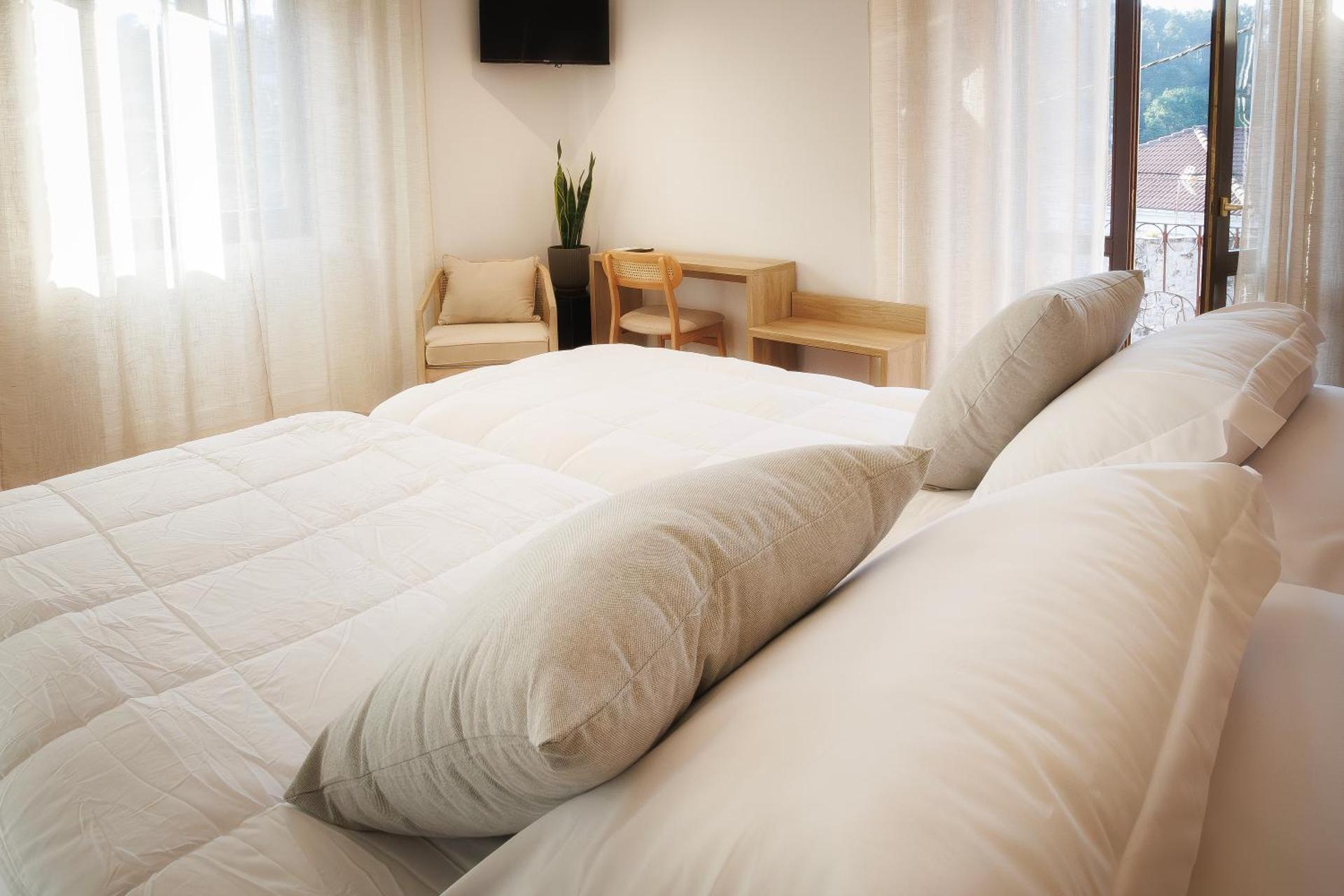 Deluxe Double or Twin Room with Mountain View