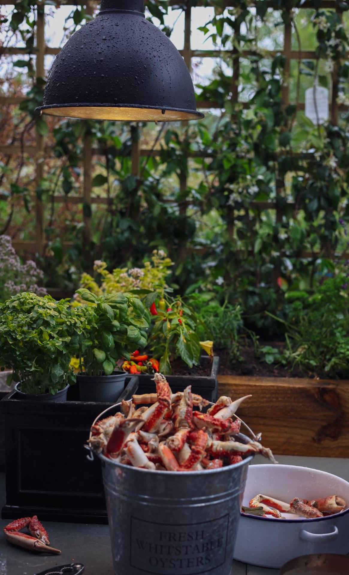 Dragonfly Glamping Spa Retreat