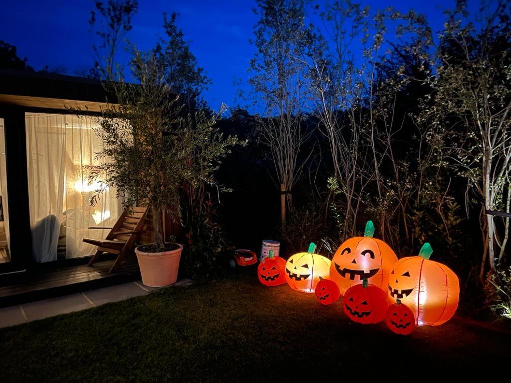 Dragonfly Glamping Spa Retreat