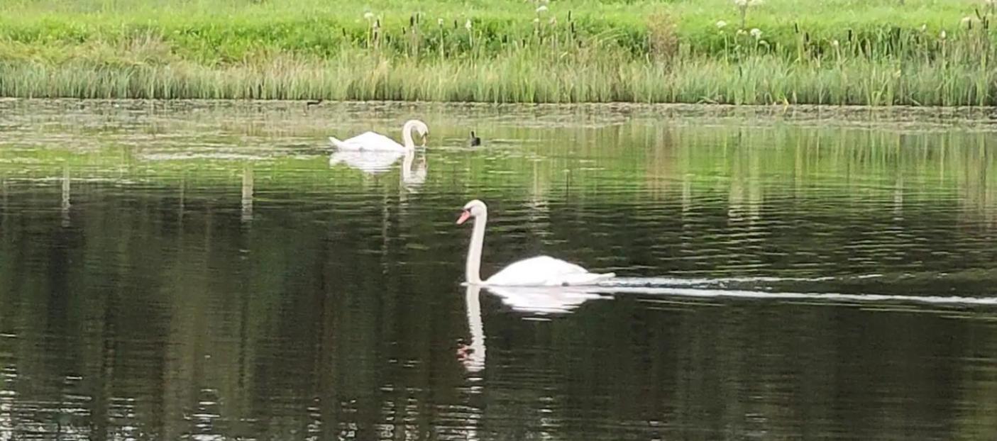 Waterfront Lodges - North Cabin