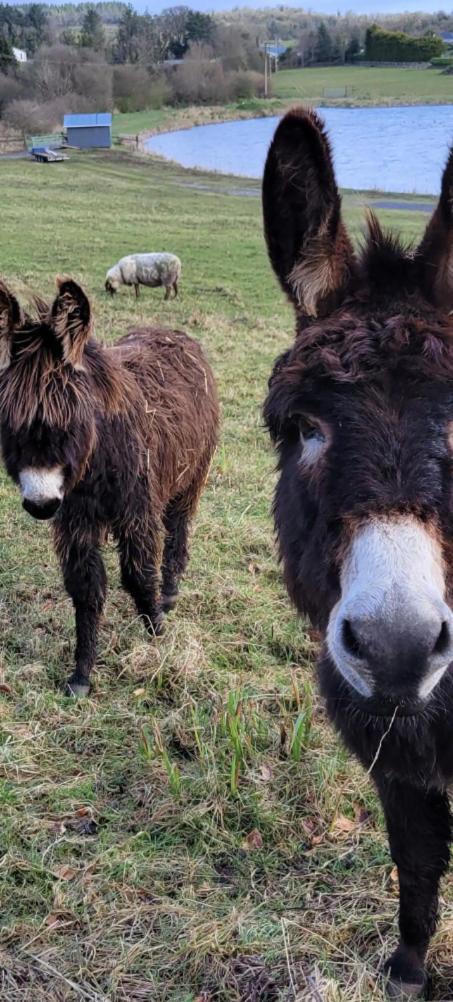 Waterfront Lodges - North Cabin