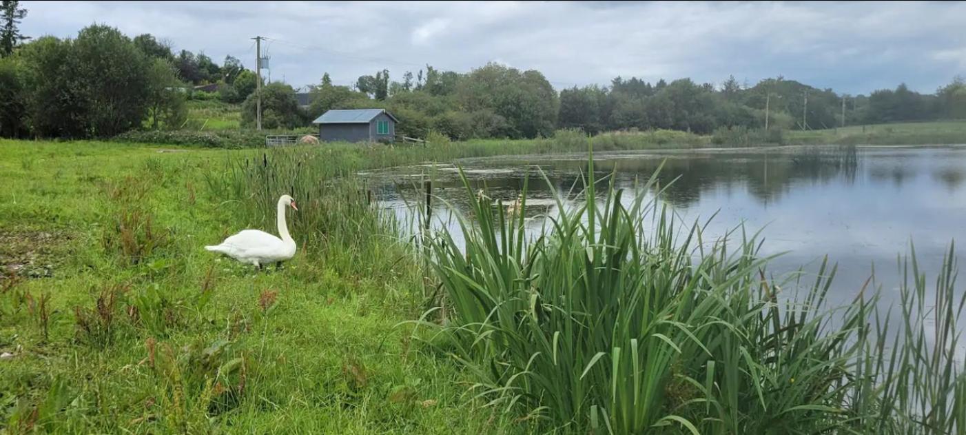 Waterfront Lodges - North Cabin