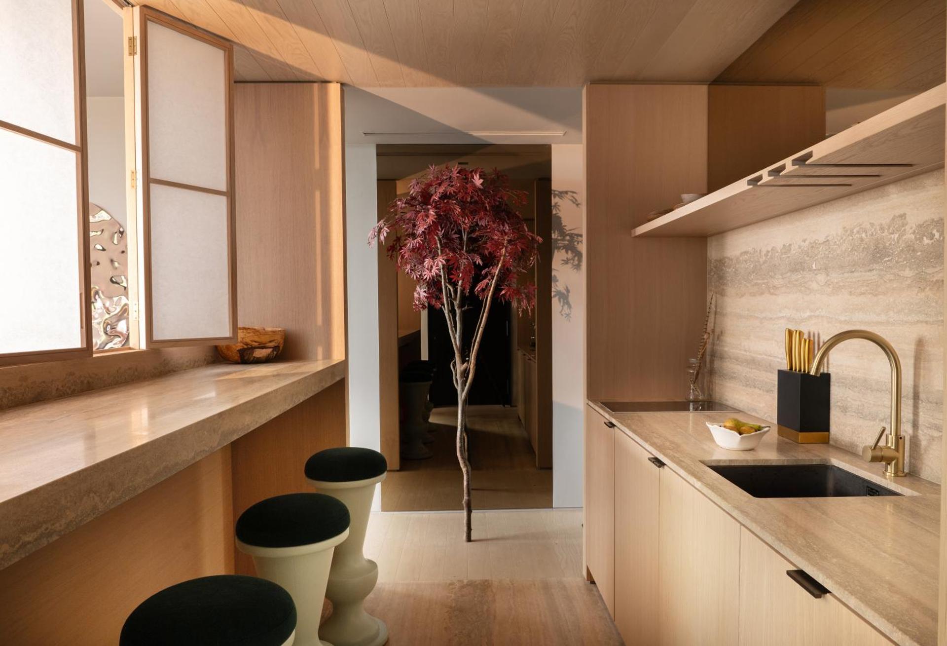 Kitchen or kitchenette