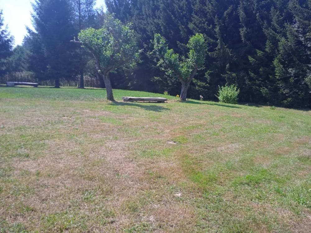 Tábořiště u bývalého Boudeckého mlýna