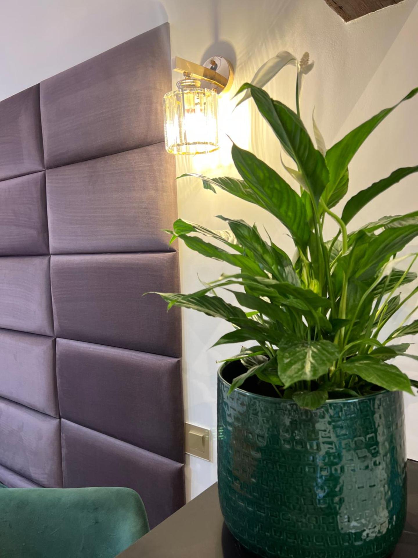 Le petit Carlthon appart