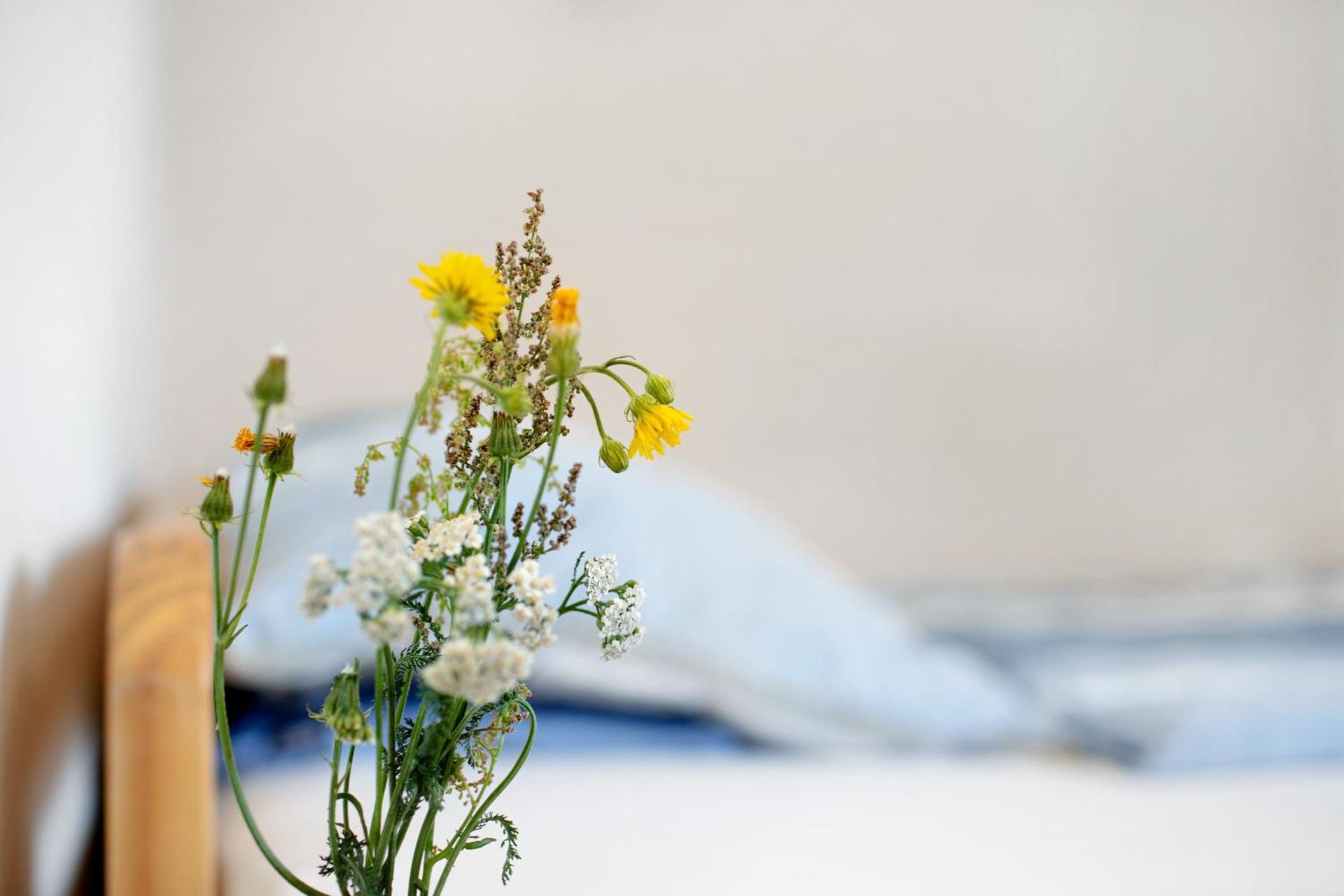 Ferienhaus 'Zum tänzelnden Pony'