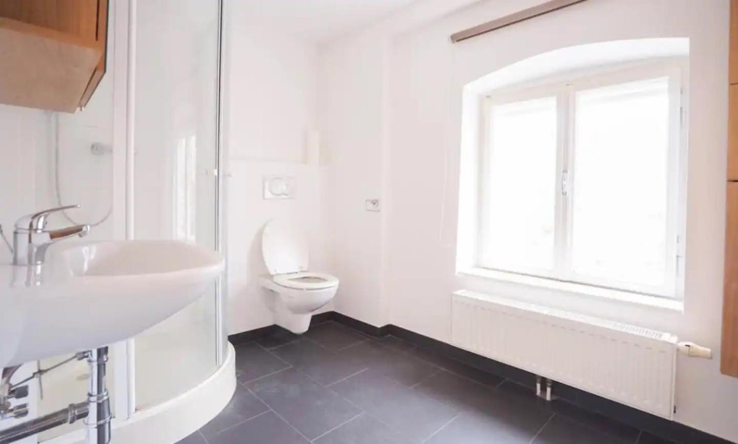 Authentic Austrian Flat in the South of Vienna