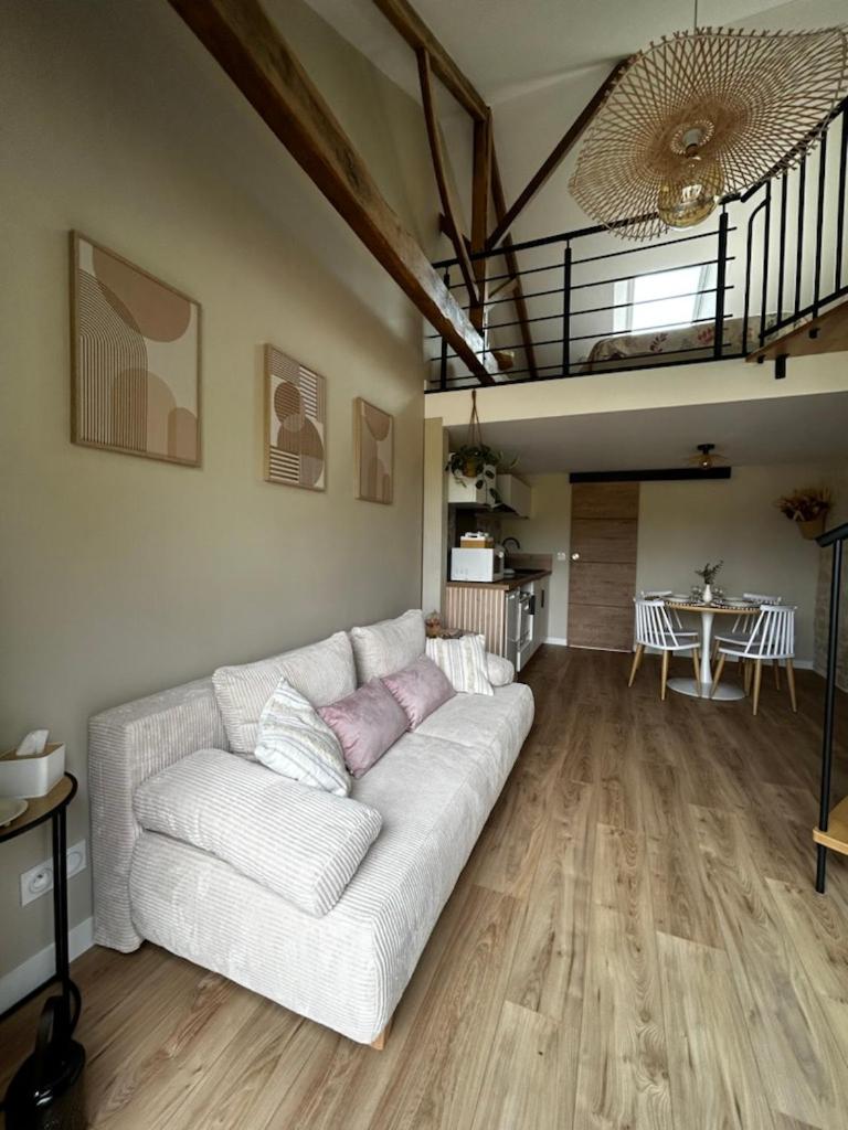 L'arbre de soie Futuroscope Albizia