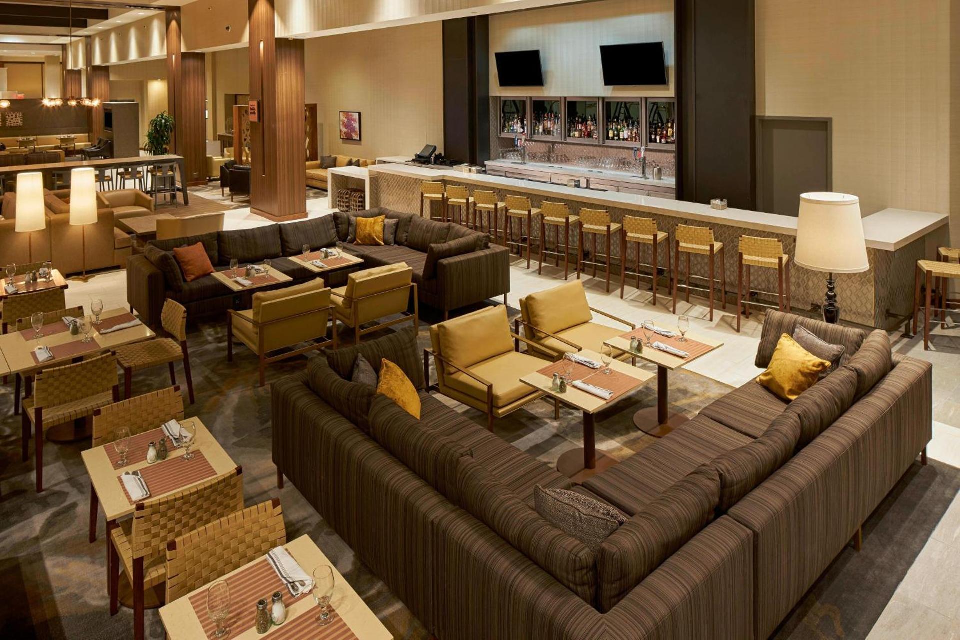 Lounge or bar