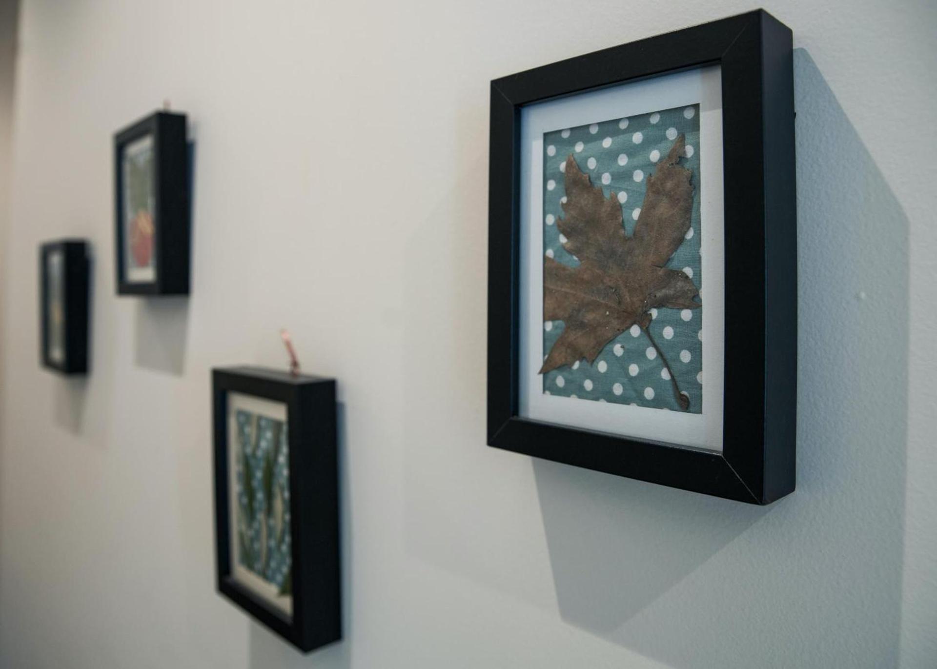 Stagiates Guest House at Pelion