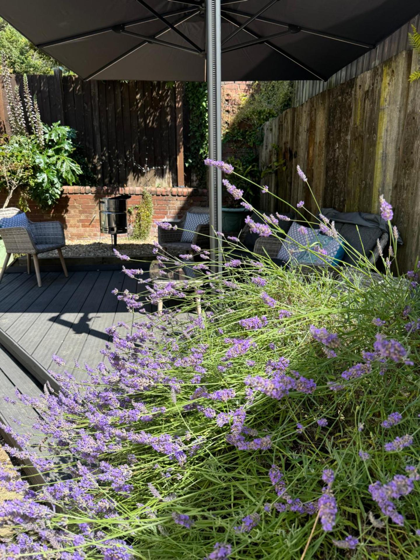 Monty Cottage, Exmouth Coastal Boutique House