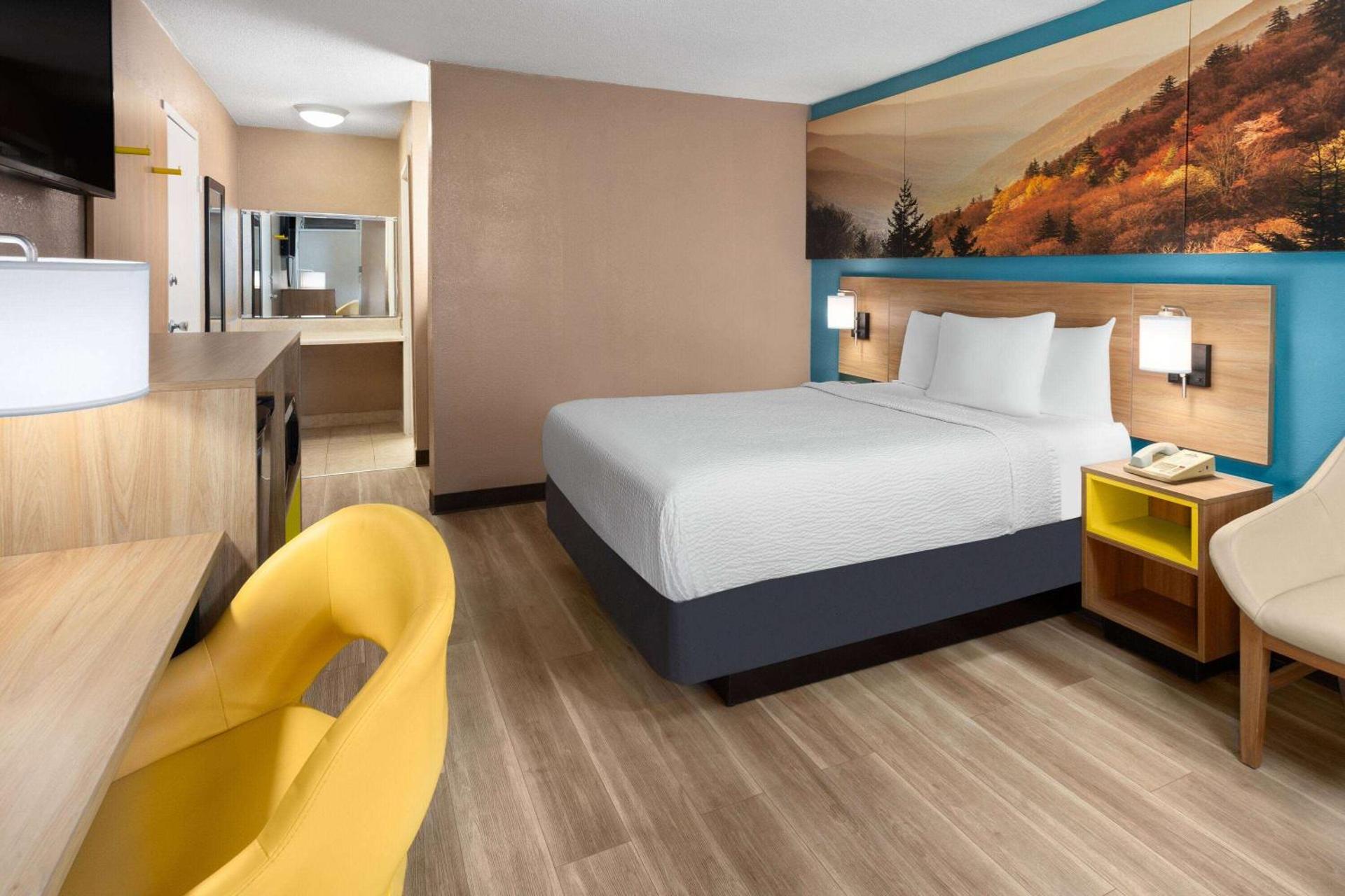 Photo of the whole room