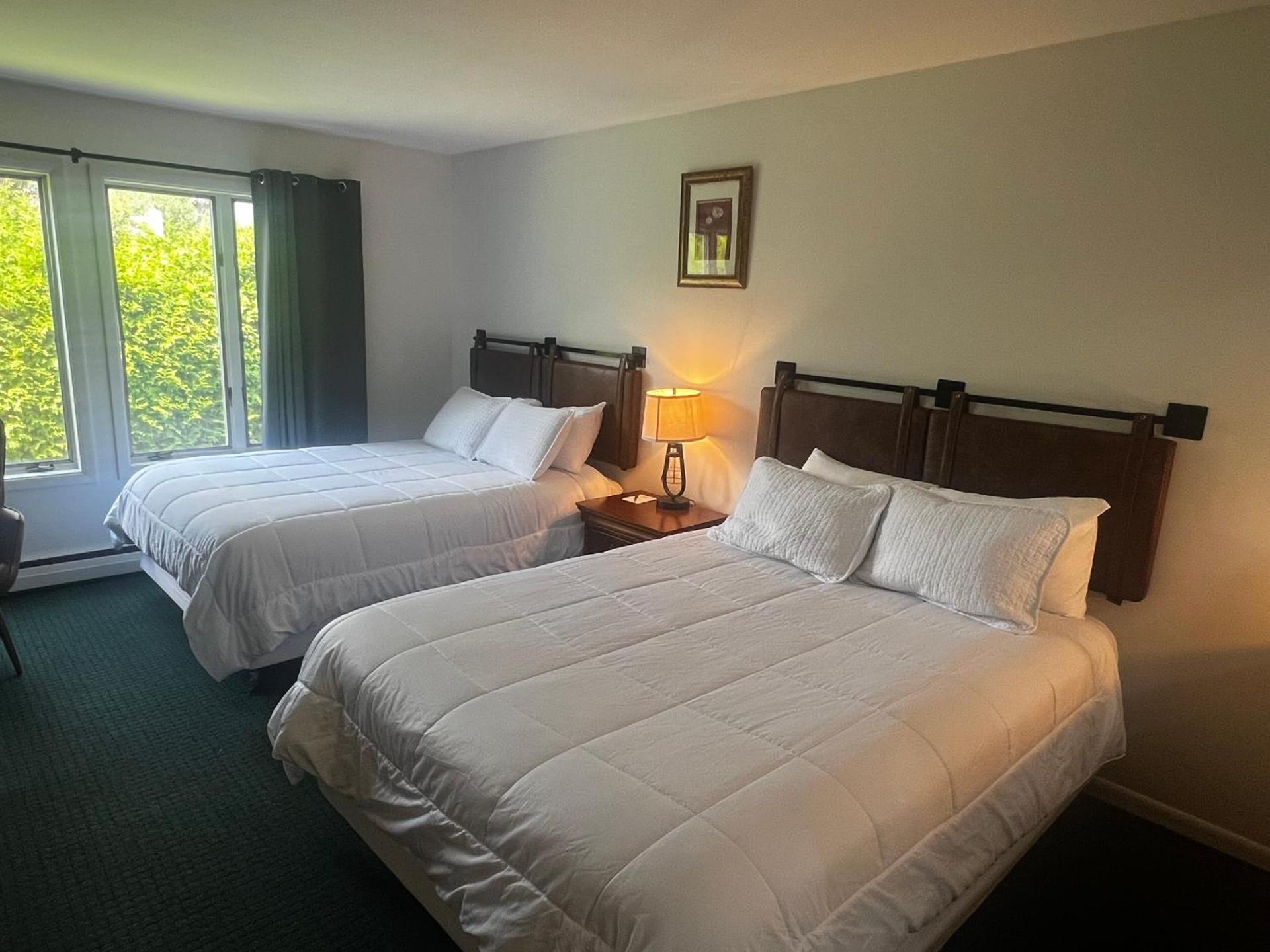 Stowe Motel & Snowdrift