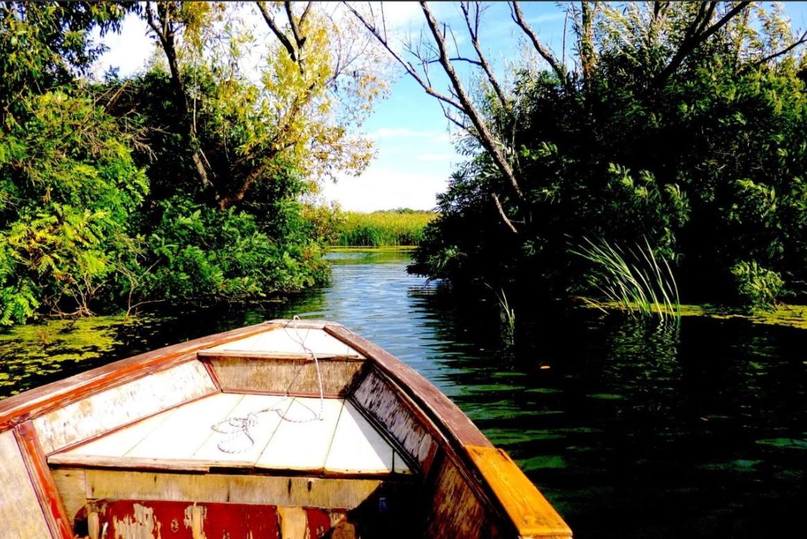 Gyümölcsös Vendégház, Poroszló, Tisza-tó - Fruit Orchard Guest House, Poroszló, Lake Tisza