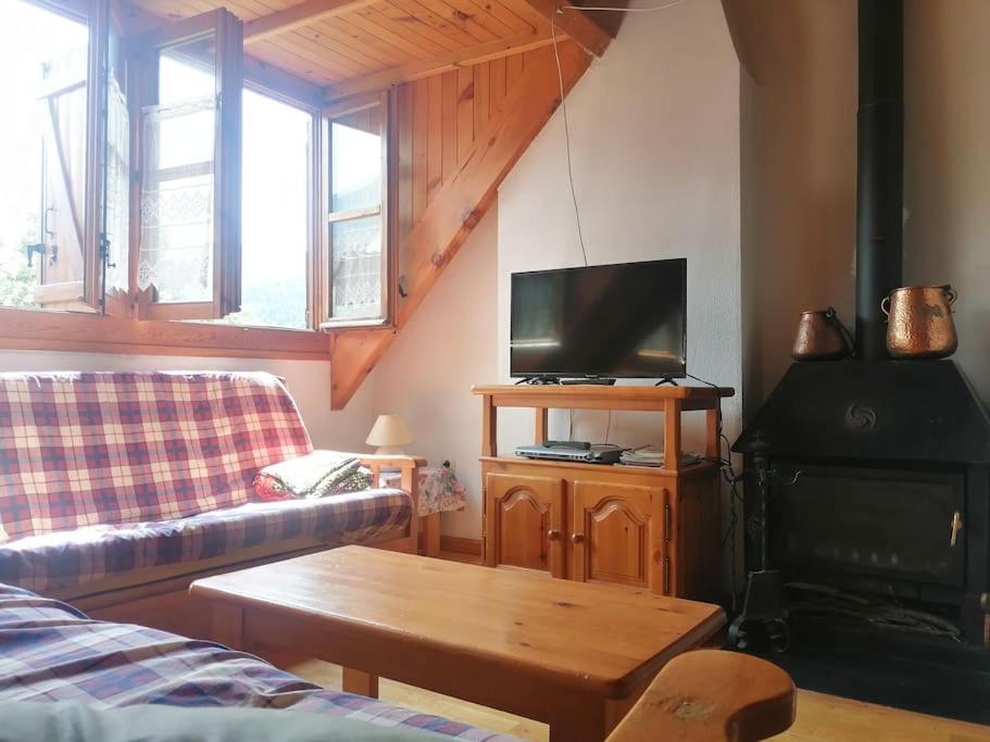 Chimenea y espacio para todos, ideal para famílias - Isard 2