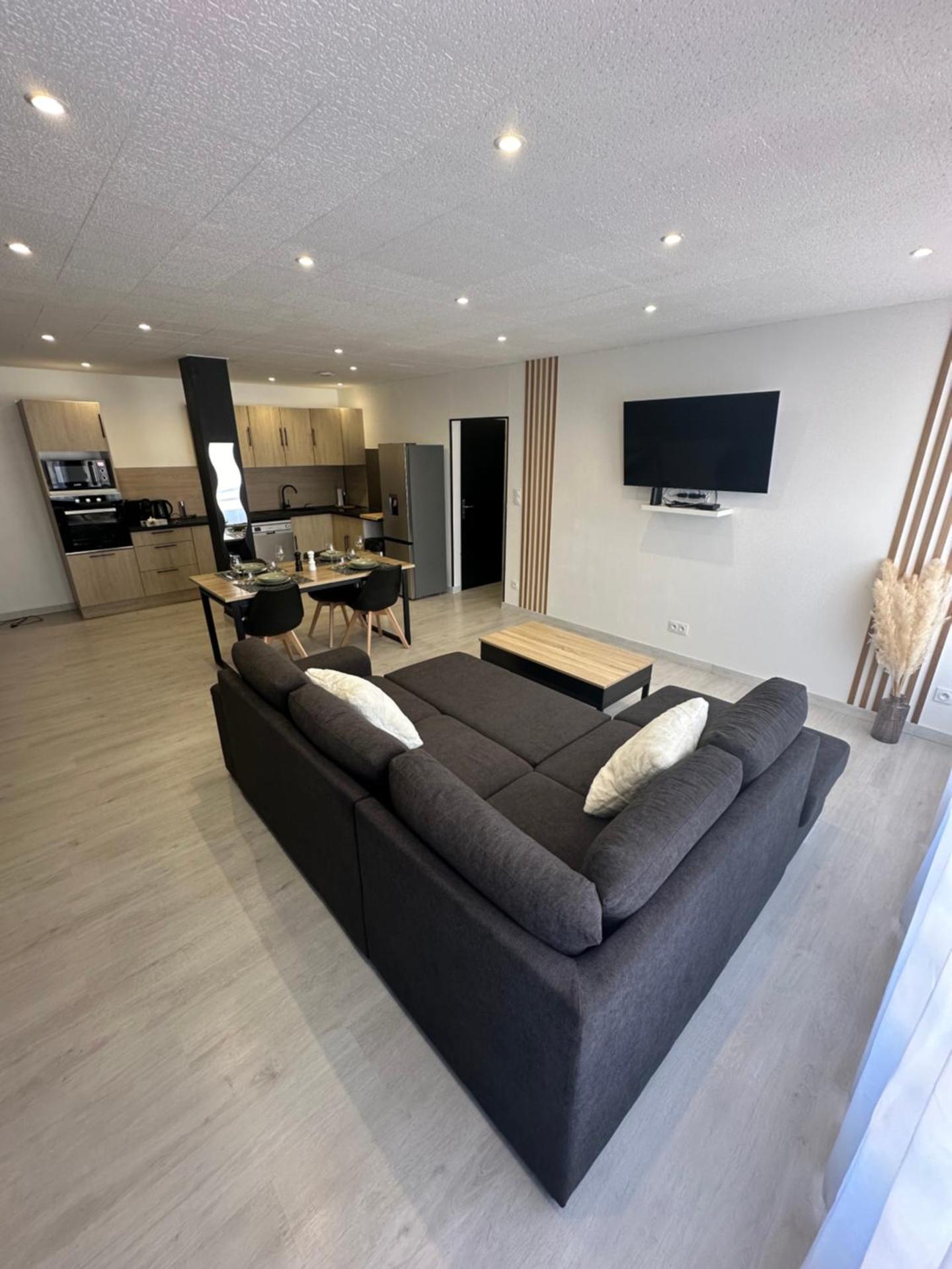 Grand appartement Roanne centre